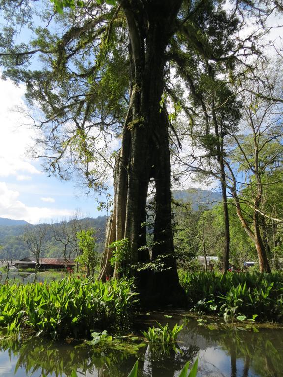 Terrasse Du Lac Munduk Exteriör bild